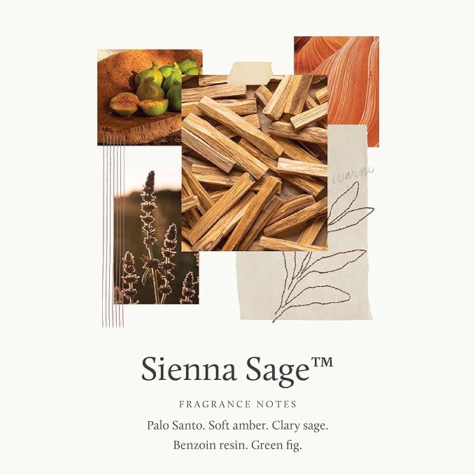 Thymes Petite Reed Diffuser Set – Includes Rattan Wood Sticks, Fragrance Oil, & Glass Bottle – Home Fragrance Oil Diffuser – Luxury Home Decor – Bedroom Decor (Sienna Sage, 4 fl oz)