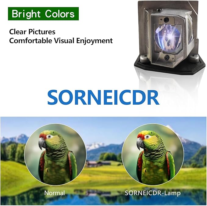 SORNEICDR BL-FP230D/BL-FP230J/BL-FP230H/SP.8EG01G.C01 Replacement Projector Lamp Bulb Compatible with Optoma HD20 HD23 HD230X HD180 HD2200 TX612 GT750 TH1020 EH1020 HD200X HD21