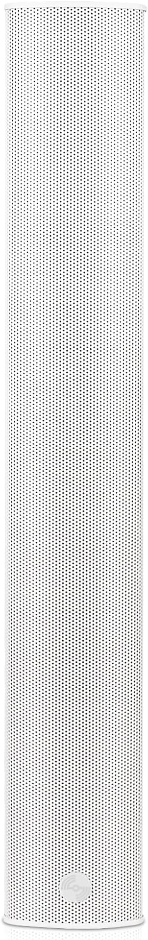 Sound Town Weatherproof Compact Aluminum Line Array Column Speaker with Wall Mount Bracket, 6 x 3 Woofers, 4 x 1.2 Dome Tweeters, White, for Church, Indoor & Outdoor Installation (CARPO-M64W)