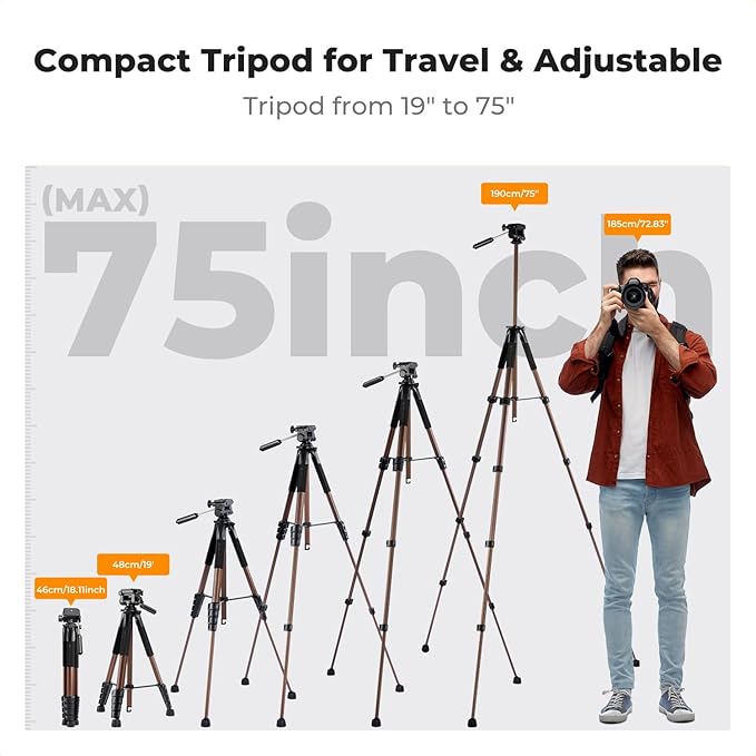 K&F CONCEPT Camera Tripod, 75" Lightweight Portable Travel Outdoor DSLR Tripods for Camera Phone Video Recording Tripod Stand, Cellphone Clip for Smartphone Live Streaming Vlog (Bronze Gold, 75'')