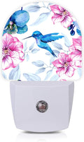 Axxitude Hummingbird Pink Flower Night Lights Plug into Wall for Girls Boys Room,Night Light LED Lamp Dusk to Dawn Sensor Round Lamp for Bedroom Bathroom Hallway Home Wall Decor Nightlight