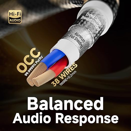 TODN HiFi RCA Audio Cable Audiophile RCA Cables for Car Audio with O-C-C Copper Core, Dual Shielded (10 ft/3m, 1 Pair)
