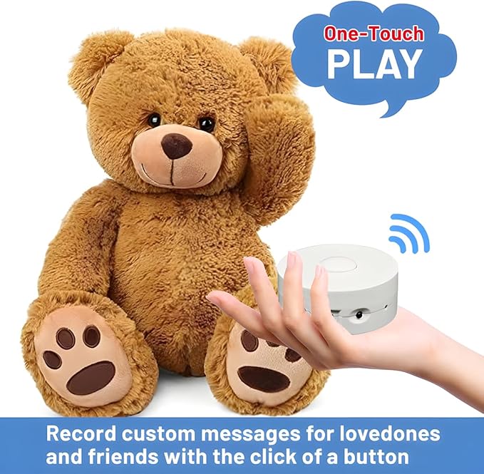 JRGKJCP 16 Minutes Voice Recorder, Record Custom Message for Crafts, Stuffed Bear, Baby Doll, and Pillow (2Pack + White)