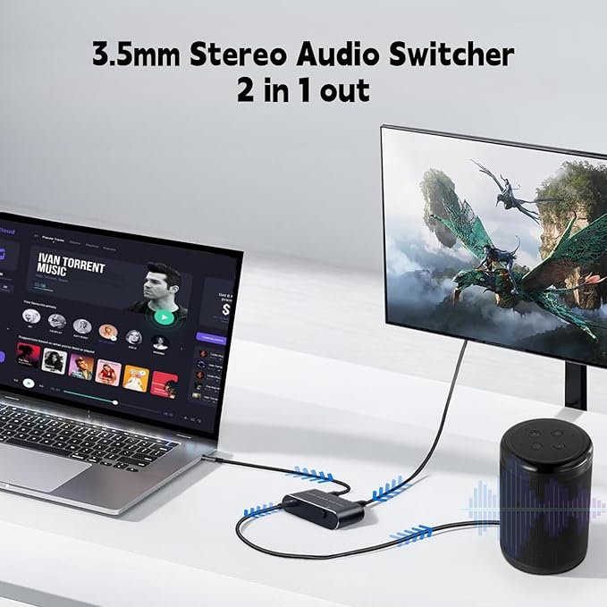 Audio Switch 3.5mm Bi-Direction Switch,Stereo Audio Switcher 2 in 1/1 in 2 Out,A udio Swit ch Headphone Manual Selector Splitter for PC Phone Laptop Headphone(Black)