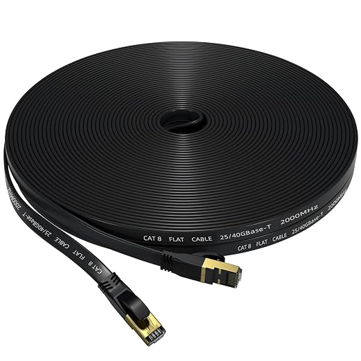 Cat 8 Ethernet Cable 25 FT, Outdoor&Indoor High Speed Heavy Duty Network LAN by Unknown