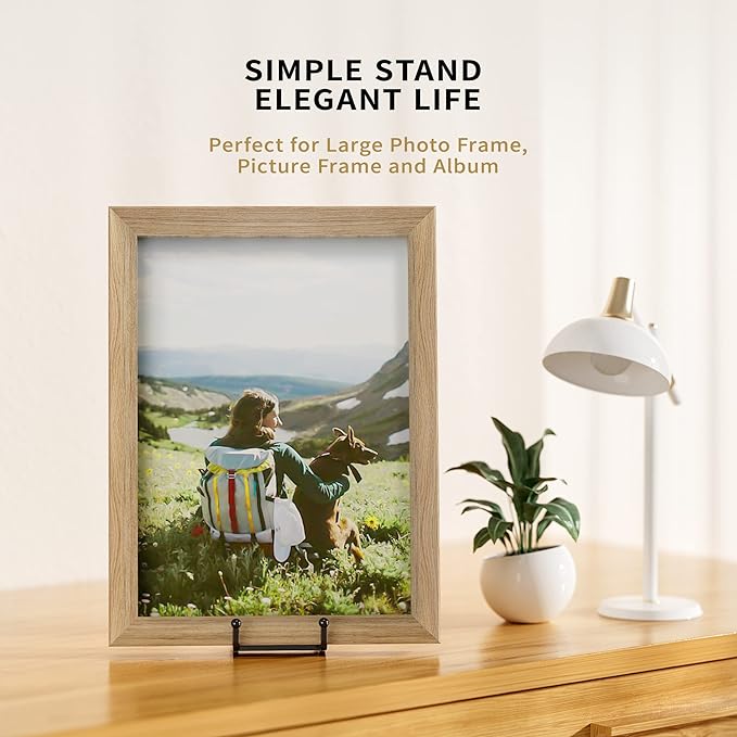 IPAME 8 Inch Large Plate Stands for Display - Metal Square Wire Plate Holder Display Stand + Picture Stand for Book, Platter, Plaque, Photo Easel (2 Pack)
