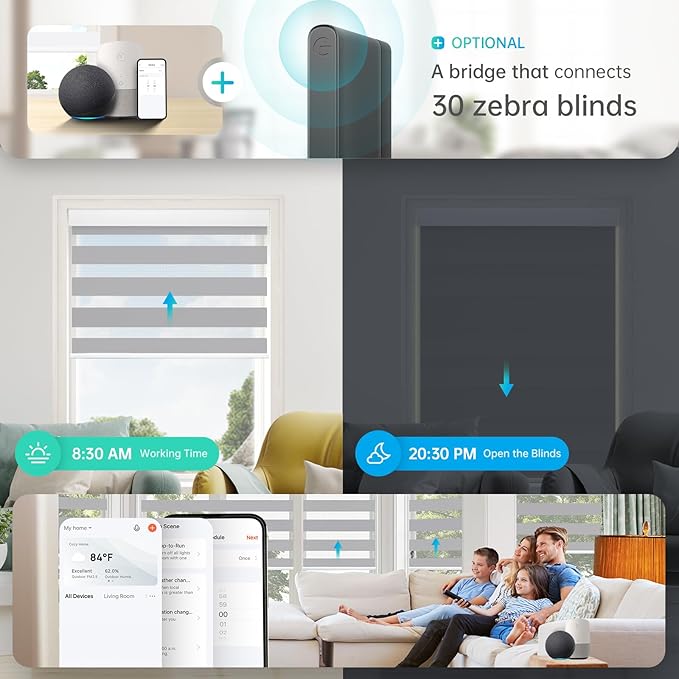 DENFOON Motorized Zebra Blinds, Solar Powered Dual Layer Automatic Shades with Remote Control, Rechargeable Smart Blinds Horizontal Wireless Electric Shades for Windows, Custom Size, Gray， 48 x 72