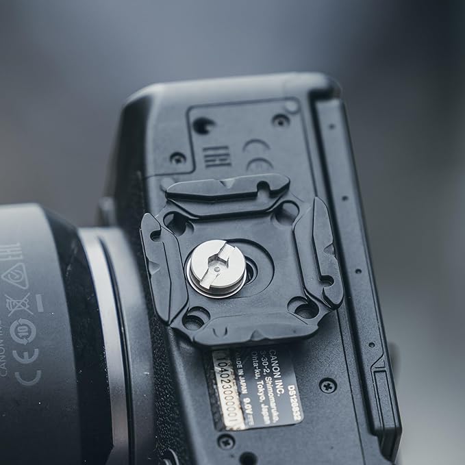 FALCAM F38 Quick Release Kit V2, Quick Release System, Base and Plate with 1/4" and 3/8" Screw Thread for Tripod, Monopod, Stabilizer, Slider - F38B3404