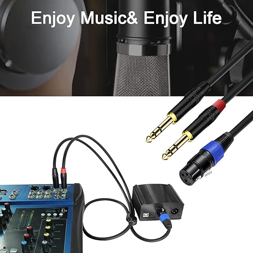2Pack 6.35mm Dual TRS to XLR Female Cable for Microphone, Mixer, Amplifier, 1.5 FT, Dual 1/4 Male to XLR Audio Cable, Y Splitter Patch Cord, 3-PinXLR to Dual 1/4 TRS Male Converter Adapter Cable