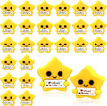 Skylety 25 Pcs Perfect Attendance Resin Star, Perfect Attendance Awards by Skylety