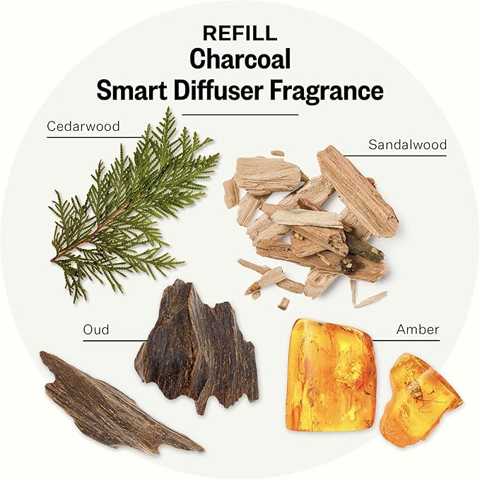Pura Smart Home Plug-in Diffuser Refills by Apotheke, (Charcoal, 2-Pack) - Pura Fragrance Refills - Long-Lasting Aromatherapy Air Freshener Fragrance Products with Perfume-Grade Essential Oils