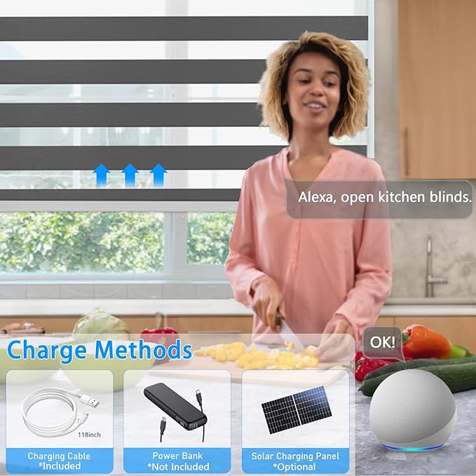 COOLWINDS Motorized Zebra Blinds for Windows Cordless Electric Curtains with Remote Control Blackout Shades Custom Smart Blinds Compatible with Alexa Google Home(Light Filtering Black,W50 X 72in)