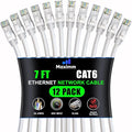 Maximm Cat 6 Ethernet Cable - 7 ft - High-Speed LAN by MaximmCable