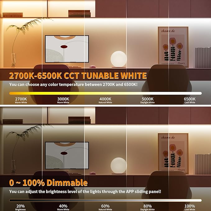 PAUTIX CCT LED Controller Kit SP542E Wi-Fi+Bluetooth, Compatible with Alexa/Google Assistant, App Control RF Remote, CCT LED Dimmer for LED Strip Light, Timing Function, Music Mode, Group Control