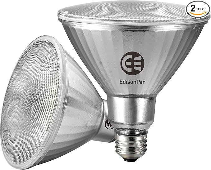 EdisonPar Full-Glass PAR38 LED Flood Light Bulbs Outdoor/Indoor Equivalent 350 Watt, 5500 Lumens Ultra Bright, Non-Dimmable Waterproof 5000K Daylight, 2-Pack