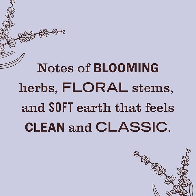 MRS. MEYER'S CLEAN DAY Scented Oil Refills, Lavender, contains 4 .67 fl oz refills