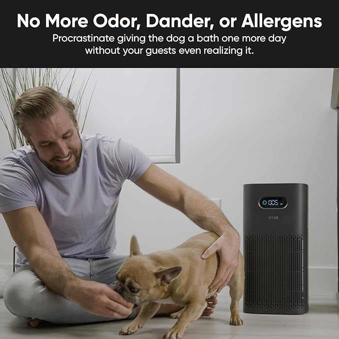 Wyze Air Purifier with Formaldehyde Filter (Premium), for Home, 21db Quiet, HEPA 13, Elimination of common pollutants, Remove formaldehyde, Odors, Smoke, Pollen, Dust, Smart WiFi Alexa Google, Black