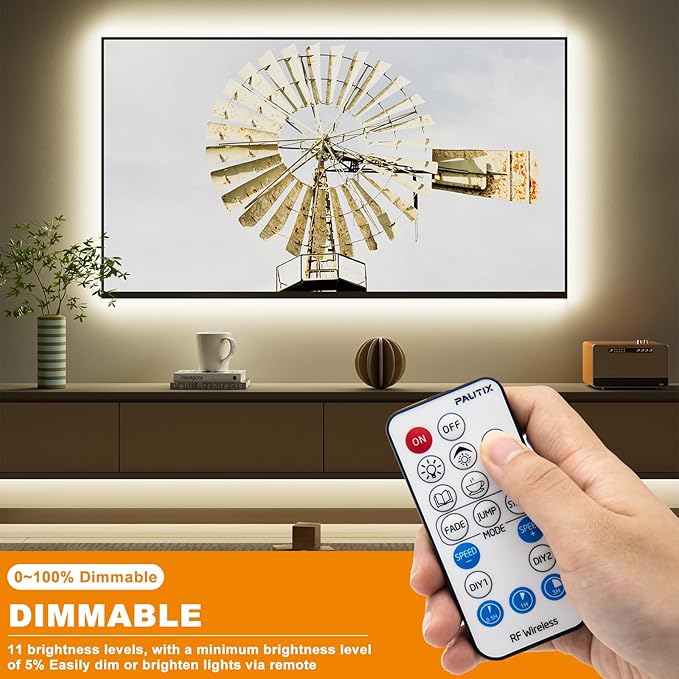 PAUTIX 2-Way LED Dimmer Controller with RF Remote for Single Color LED Strip Lights,18-Key Wireless Remote and in-line Controller DC 12V-24V for 3528/2835/5050/COB LED Tape Lights,Timer Function