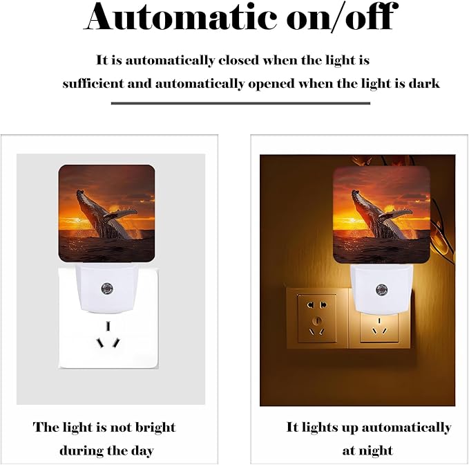 FSHVQKD Sunset Humpback Whale Night Light,Plug Into Wall for Boys Girls Bedroom Decorative Square Night Light Lamp 0.5w Sleep Friendly