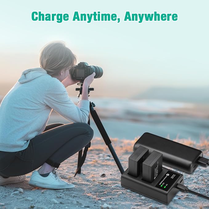 FirstPower DMW-BLC12 DMW-BLC12PP Battery and Dual Slot Charger - Image 6