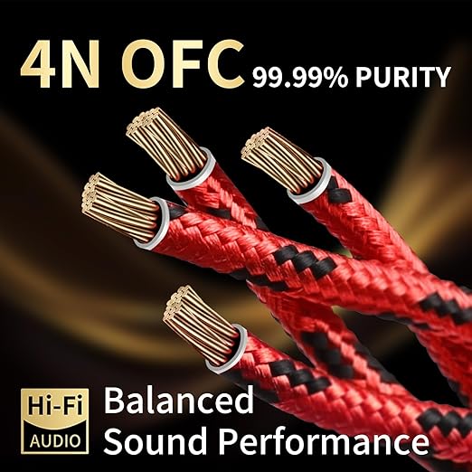 12 AWG 2Pack Audiophile Speaker Cable – Speaker Wire with Banana Plugs,4N OFC Core,Nylon Braid,Audio Wire,Compatible with Amplifier,Speakers,AV Receiver& Home Theater(9.84ft/3m)