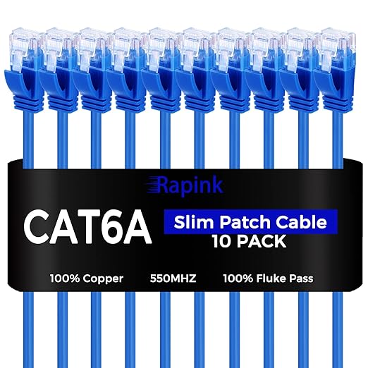 Rapink Patch Cables Cat6a 1ft (10 Pack) Slim, Cat6a Ethernet Patch Cable 10G Support, Snagless Cat 6 Patch Cable for Patch Panel to Switch, Flexiable Cat 6a Ethernet Cable with Gold Plated