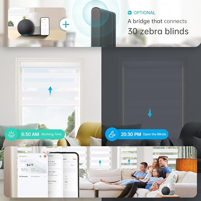 DENFOON Motorized Zebra Blinds, Solar Powered Dual Layer Automatic Shades with Remote Control, Rechargeable Smart Blinds Horizontal Wireless Electric Shades for Windows, Custom Size, White， 45 x 72