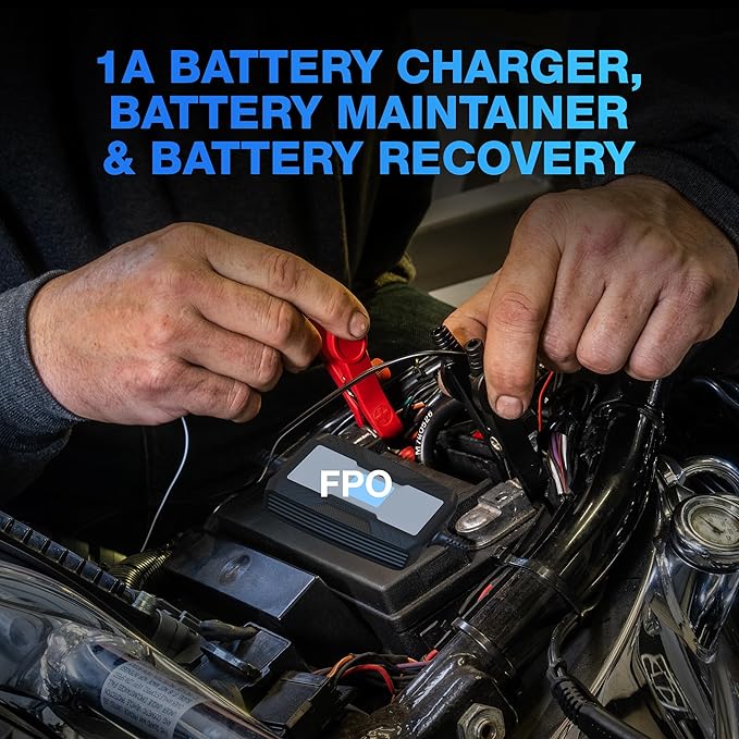 Type S 1A Smart Battery Charger & Maintainer, 6V & 12V Fully Automatic Trickle Charger, Low-Voltage Recovery, Auto-Voltage Detection, Sulfation Prevention – for Cars, Motorcycles, ATVs, Boats & More