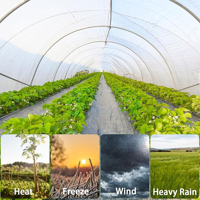 Greenhouse Plastic Sheeting,6 Mil 13×26ft Clear Greenhouse Film,Heavy Duty Plastic Sheeting for Farms Greenhouse Garden Floor Protection