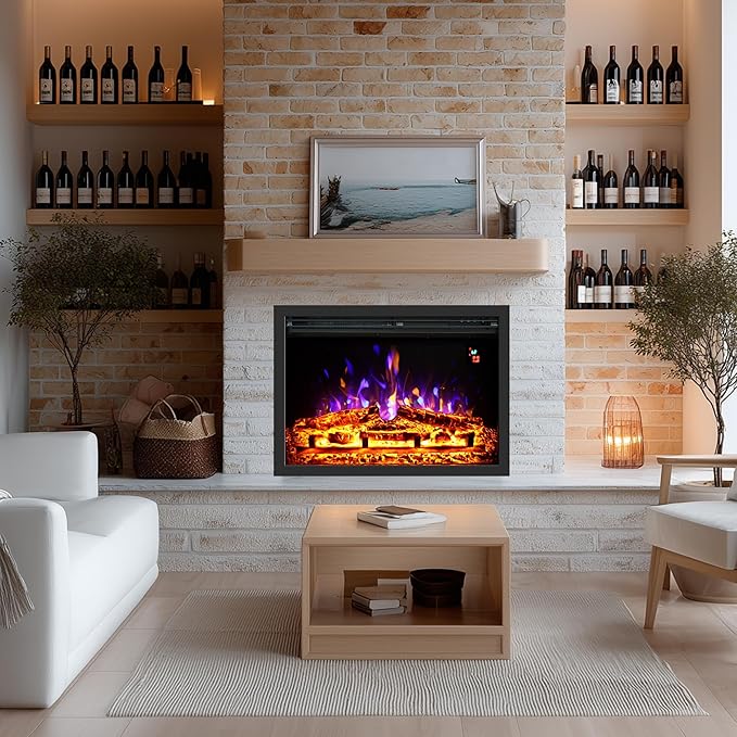 24.5" Electric Fireplace Inserts, Adjustable Brightness, Thermostat&Timer, Overheating Protection, 750/1500W