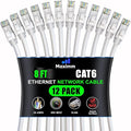 Maximm Cat 6 Ethernet Cable - 8 ft by MaximmCable