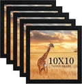 TKYGU 10 x10 Picture Frame Set of 5, Black Wooden Frame 10 x10 Square Wall Gallery Poster Photo frame with Durable Shatter Resistant Plexiglass for Wall Hanging best gift