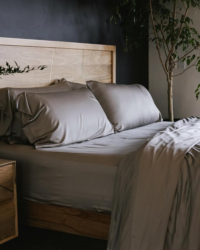 Cozy Earth Luxury Bed Sheet Set - 100% Viscose from Bamboo Fabric, Ultra-Soft & Breathable, Fits Regular & Deep Pocket Mattresses up to 20" - 4 Pieces Queen Sheet Set Dove Grey