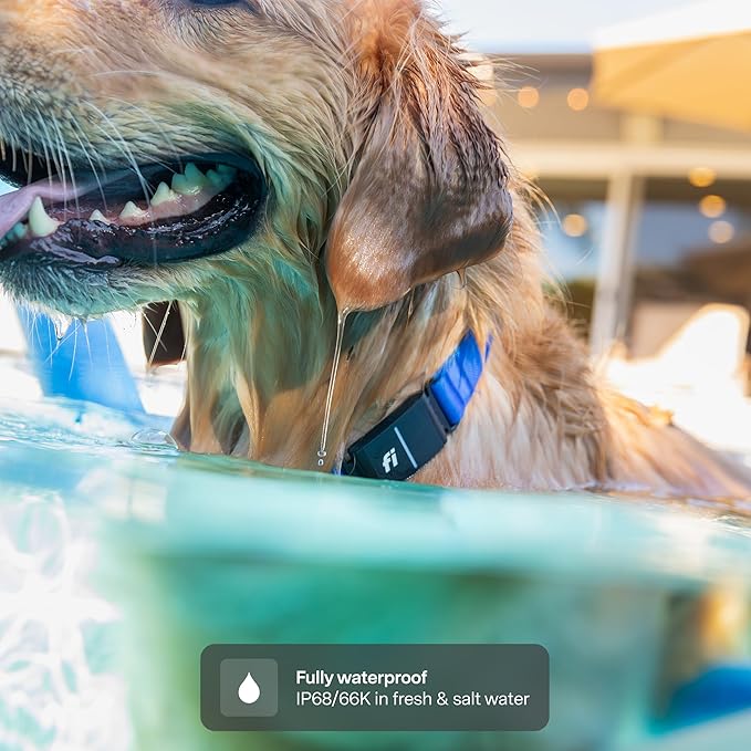 New Fi Series 3+ Smart Dog Tracker Collar [12 Month Membership Included] GPS Tracker for Dogs with Health & Behavior Monitoring, Escape Alerts, Waterproof, LED, Apple Watch Compatible (Blue, X-Small)