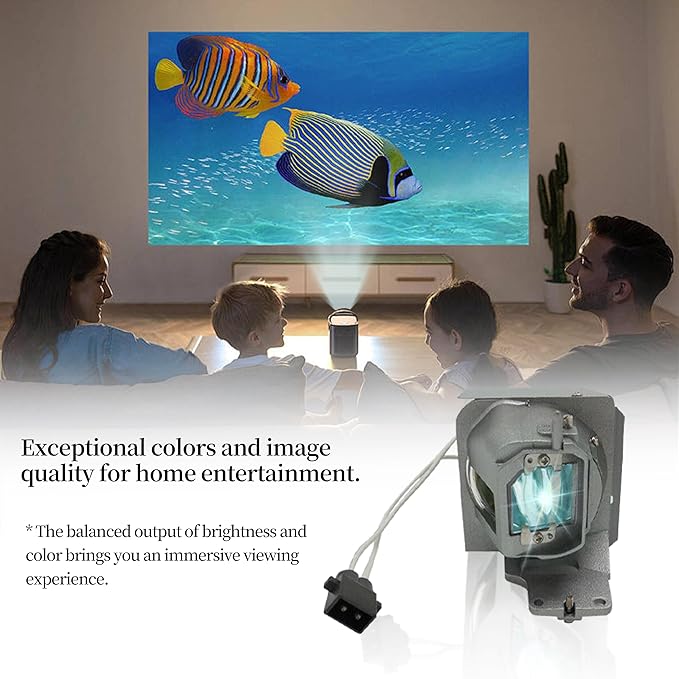 SORNEICDR BL-FP240E/SP.78V01GC01 Replacement Projector Lamp Bulb Compatible with Optoma HD143X HD243X HD27E UHD60 UHD30 UHD50 UHD50X UHD51 UHD51A UHD52ALV HD39darbee HD144X WU336 EH334 EH335