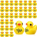 Skylety 50 Pcs Thank You Gifts Mini Resin Ducks Employee Appreciation Gifts by Skylety