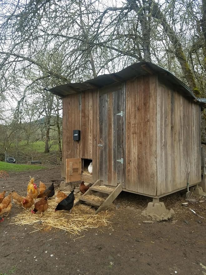 Automatic Coop Door Opener Kit (CKSPXP-Solar Kit, No Battery)