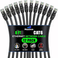 Maximm Cat 6 Ethernet Cable - 8 ft - High-Speed LAN by MaximmCable