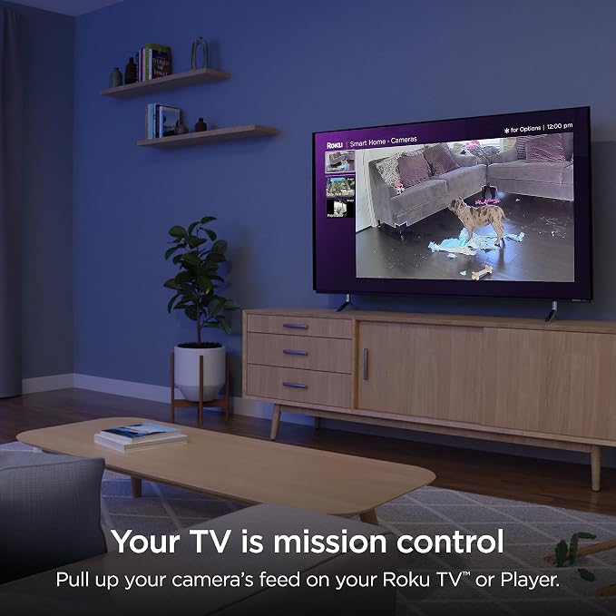 Roku CS1000R Smart Home Indoor Camera SE - Image 6