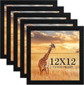 TKYGU 12x12 Picture Frame Set of 5, Black Wooden Frame 12x12 Square Wall Gallery Poster Photo frame with Durable Shatter Resistant Plexiglass,Horizontal and Vertical Formats for Wall Hanging best gift