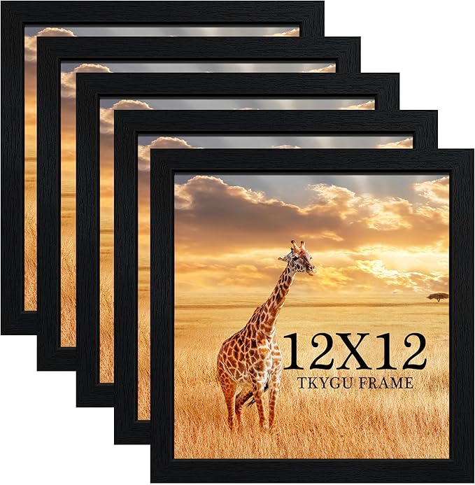 TKYGU 12x12 Picture Frame Set of 5, Black Wooden Frame 12x12 Square Wall Gallery Poster Photo frame with Durable Shatter Resistant Plexiglass,Horizontal and Vertical Formats for Wall Hanging best gift