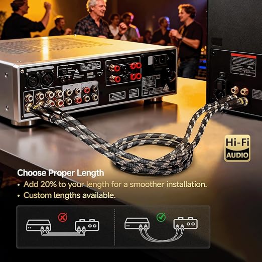 TODN HiFi RCA Audio Cable Audiophile RCA Cables for Car Audio with O-C-C Copper Core, Dual Shielded (10 ft/3m, 1 Pair)