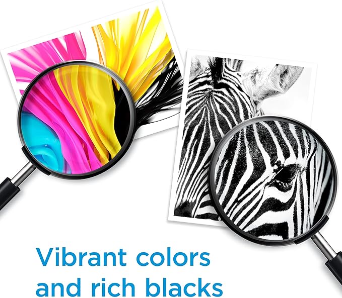 HP 64 Black Ink Cartridge | Works with Envy Inspire 7250e, 7950e, Envy Photo 6200, 7100, 7200, 7800, 7900, Tango Series | Eligible for Instant Ink | N9J90AN