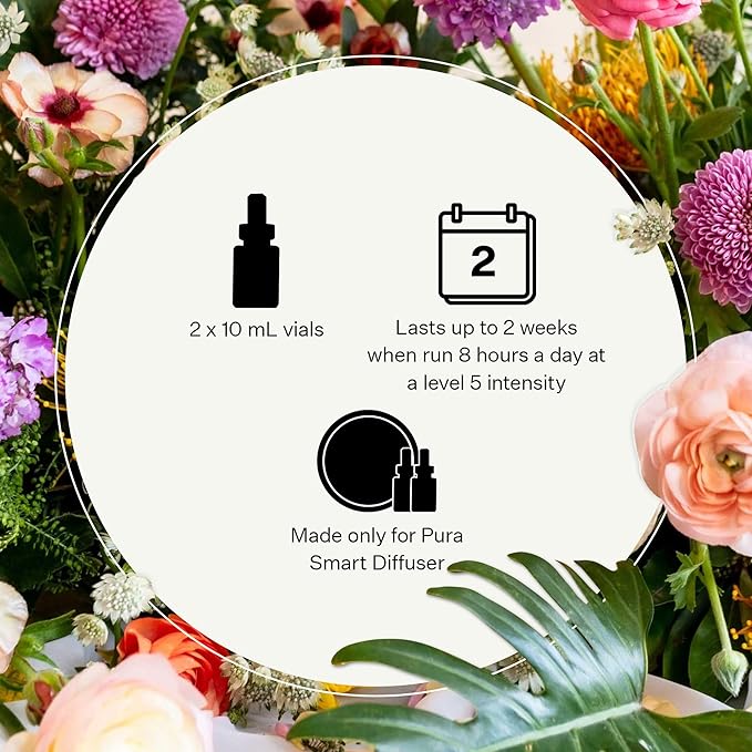 Pura Smart Home Plug-in Diffuser Refills by Apotheke, (Charcoal, 2-Pack) - Pura Fragrance Refills - Long-Lasting Aromatherapy Air Freshener Fragrance Products with Perfume-Grade Essential Oils