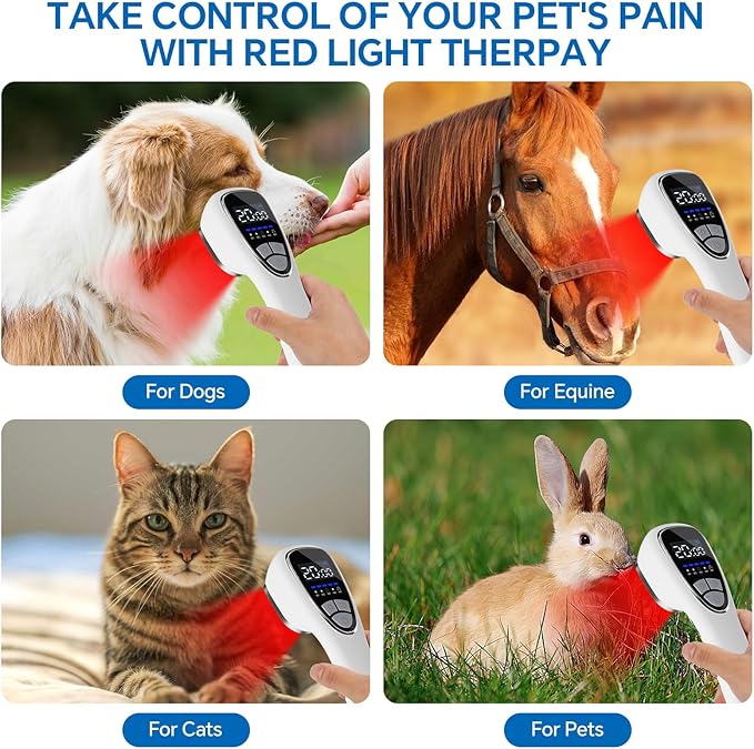 Red Light Therapy Device for Body Pain ReIief with Stand, 6x808nm+12x650nm Handheld Near Infrared Light Therapy with PW Pulsed Wave Model for Human and Pet Body Joint Back Knee Muscle