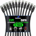 Maximm Cat 6 Ethernet Cable 2 Ft, Cat6 Cable, LAN Cable, Internet Cable by MaximmCable