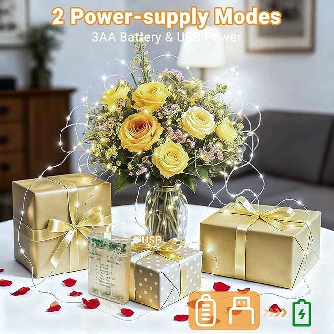 litogo 2 Pack Fairy Lights Battery Operated with Timer, 33FT 100LED Twinkle String Lights USB-C Powered 8 Modes Dimmable for Indoor Bedroom Centerpiece Wedding Classroom Dorm Christmas Decorations
