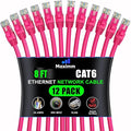 Maximm Cat 6 Ethernet Cable - 8 ft - High-Speed LAN by MaximmCable