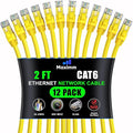 Maximm Cat 6 Ethernet Cable - 2 ft - High-Speed LAN by MaximmCable