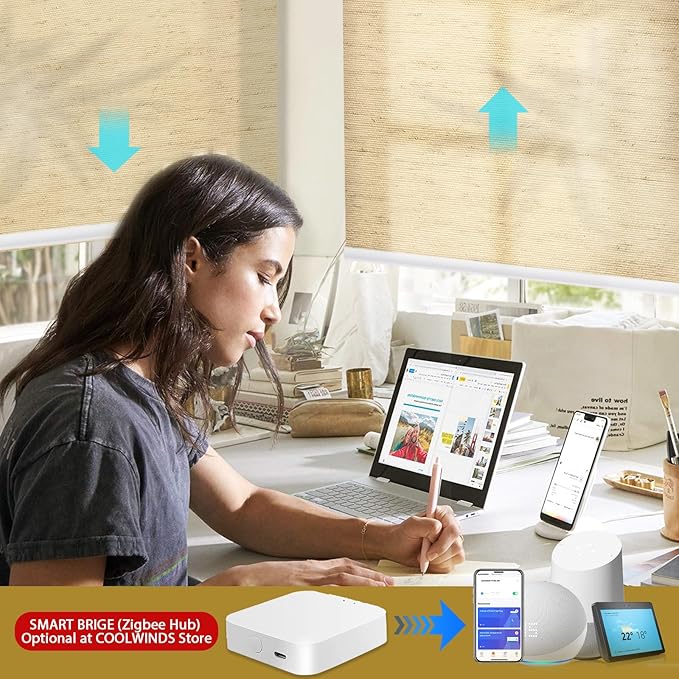 COOLWINDS Motorized Blinds with Remote Cordless Automatic Motorized Shades Custom Blinds for Windows Smart Curtains Compatible with Alexa Google Home(Light Filtering Linen Soft Dunes,W55 x H72in)